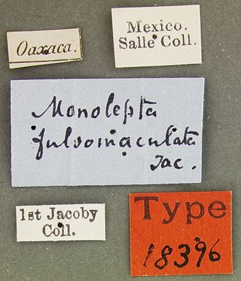 Media type: image; Entomology 18396   Aspect: labels